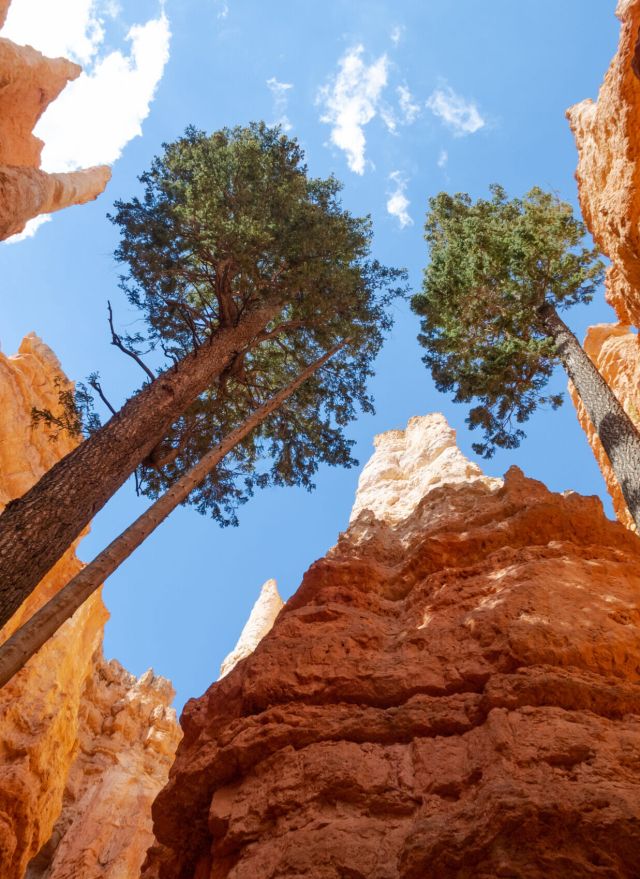 bryce canyon