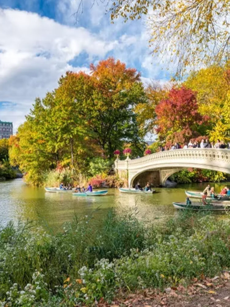 central_park