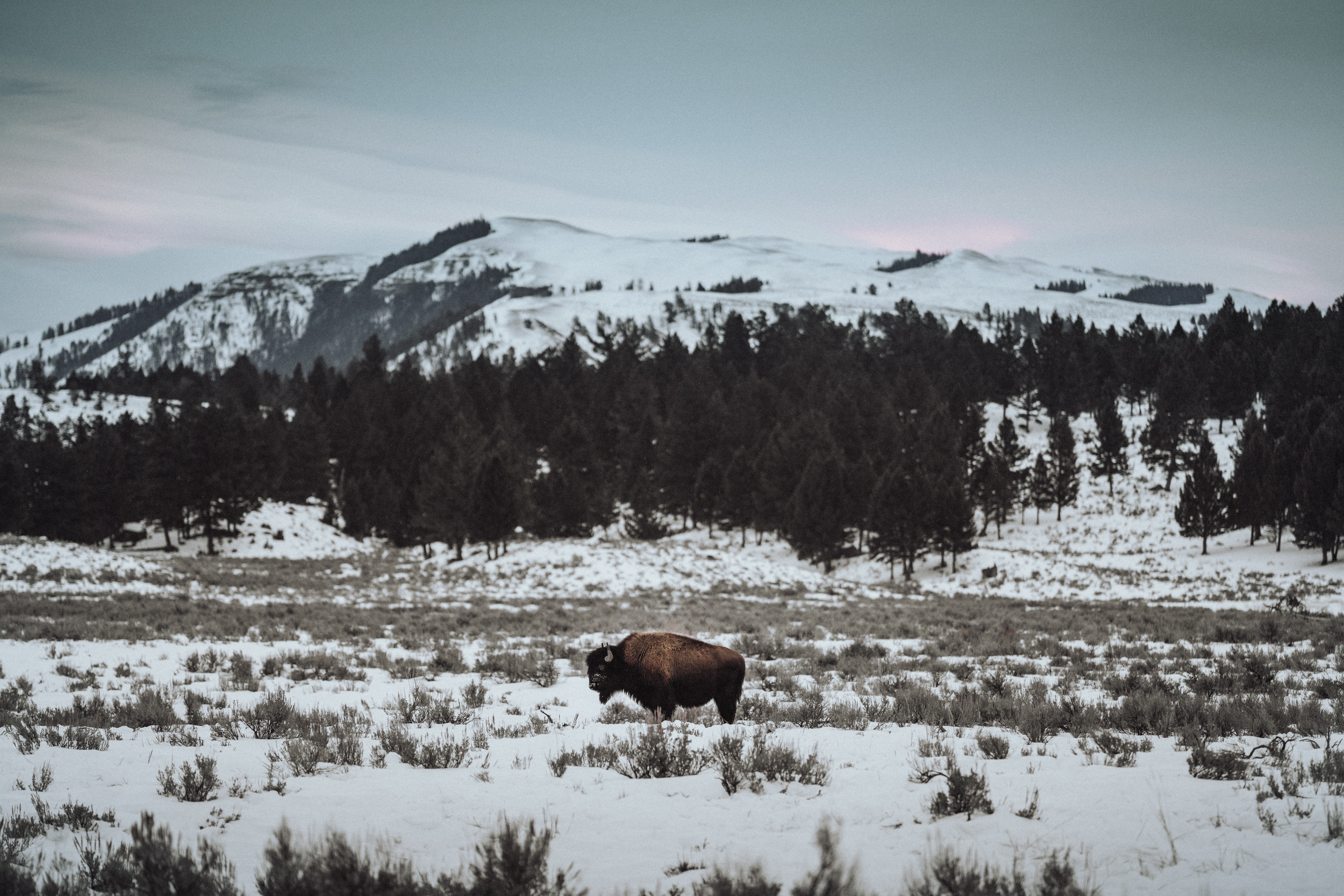 yosemite-tour-1-atw