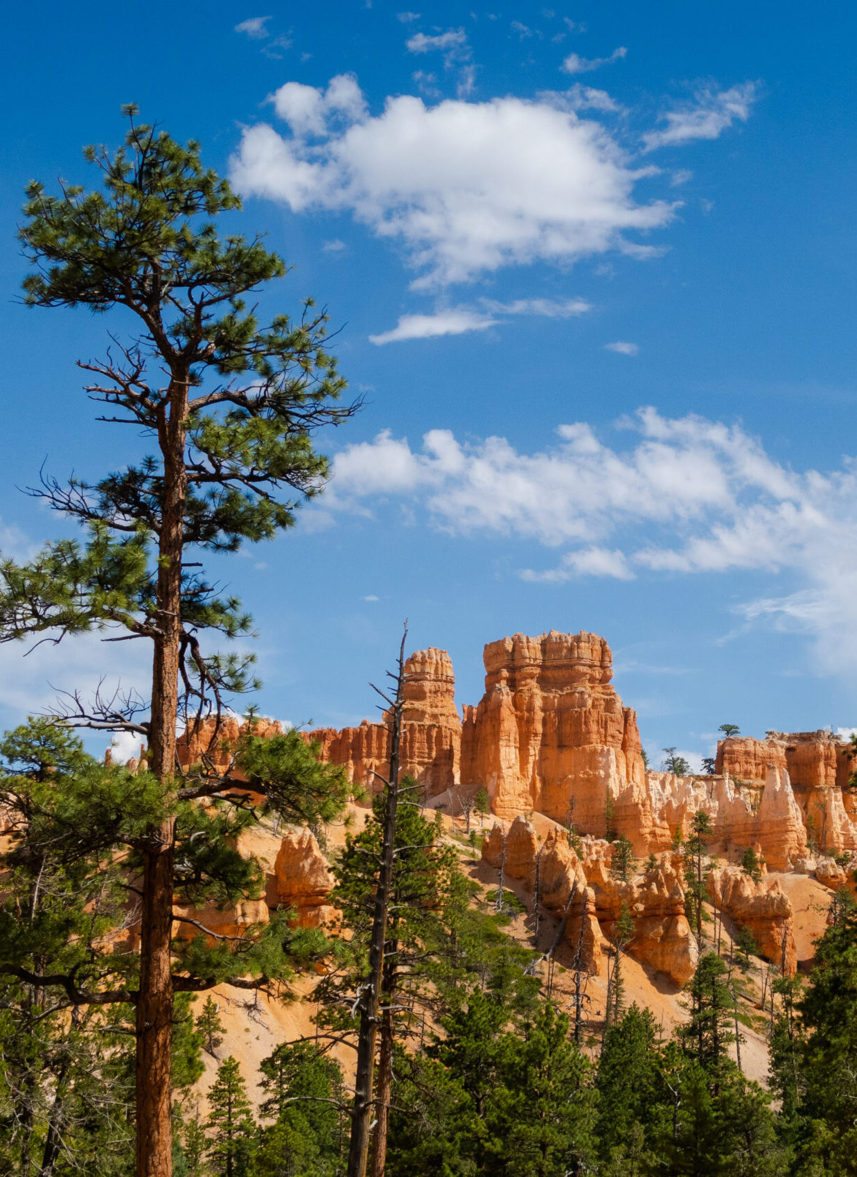 bryce canyon