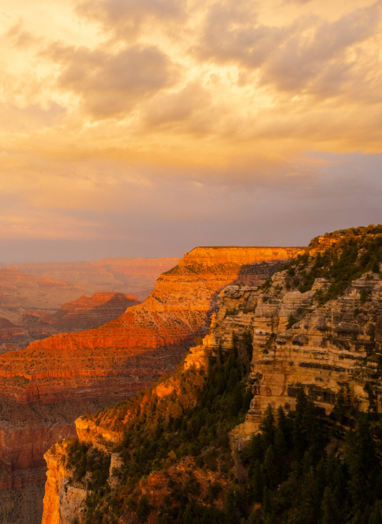 grand canyon